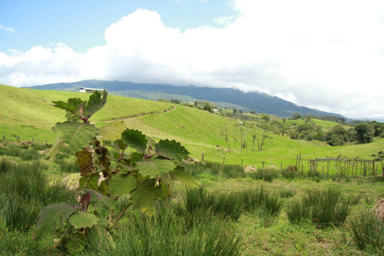Casa Volcano Panoramic View Vara Blanca (Heredia) Exterior foto